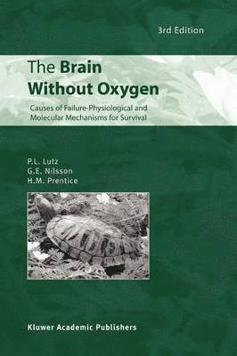 The Brain Without Oxygen 1