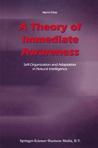 bokomslag Theory of Immediate Awareness