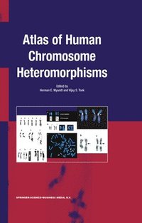 bokomslag Atlas of Human Chromosome Heteromorphisms