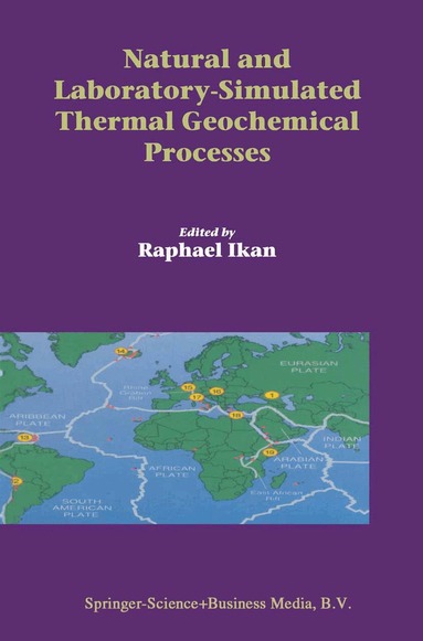 Raphael Ikan - Natural and Laboratory Simulated Thermal Geochemical Processes, Häftad
