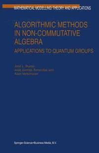 bokomslag Algorithmic Methods in Non-Commutative Algebra
