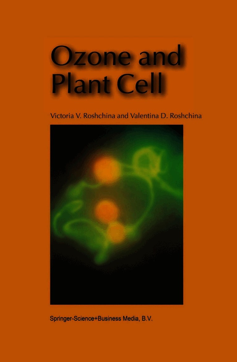 Ozone and Plant Cell