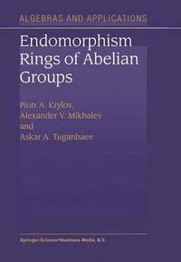 bokomslag Endomorphism Rings of Abelian Groups