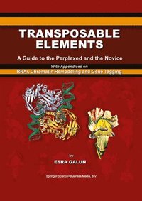 bokomslag Transposable Elements