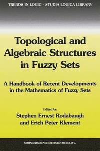 bokomslag Topological and Algebraic Structures in Fuzzy Sets