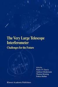 bokomslag The Very Large Telescope Interferometer Challenges for the Future
