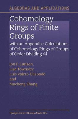 bokomslag Cohomology Rings of Finite Groups