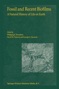 bokomslag Fossil and Recent Biofilms