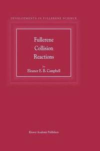 bokomslag Fullerene Collision Reactions