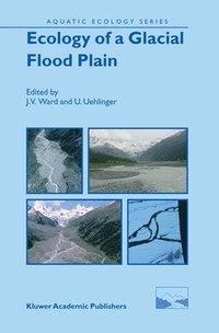 bokomslag Ecology of a Glacial Flood Plain