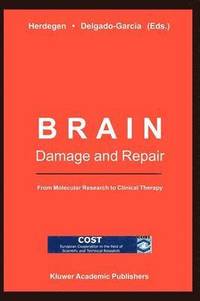 bokomslag Brain Damage and Repair