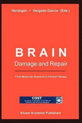 T. Herdegen, J. Delgado-Garcia - Brain Damage and Repair, Häftad