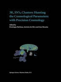 bokomslag 3K, SN's, Clusters: Hunting the Cosmological Parameters with Precision Cosmology