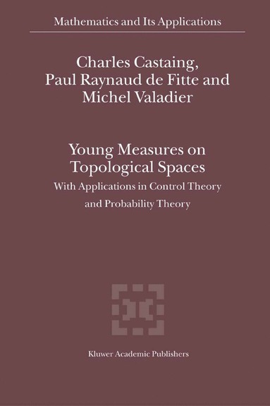 bokomslag Young Measures on Topological Spaces