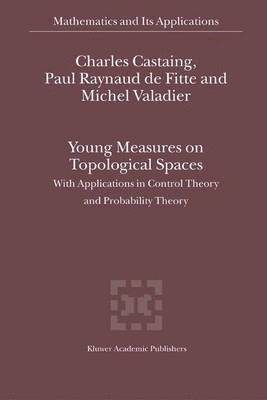 Young Measures on Topological Spaces 1