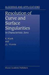 bokomslag Resolution of Curve and Surface Singularities in Characteristic Zero