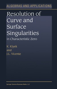 bokomslag Resolution of Curve and Surface Singularities in Characteristic Zero