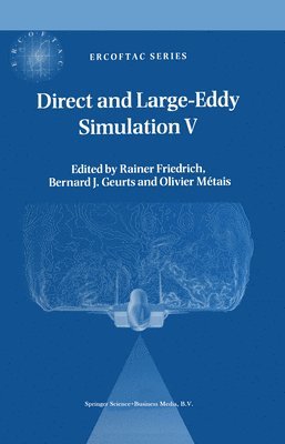 bokomslag Direct and Large-Eddy Simulation V