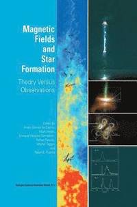 bokomslag Magnetic Fields and Star Formation