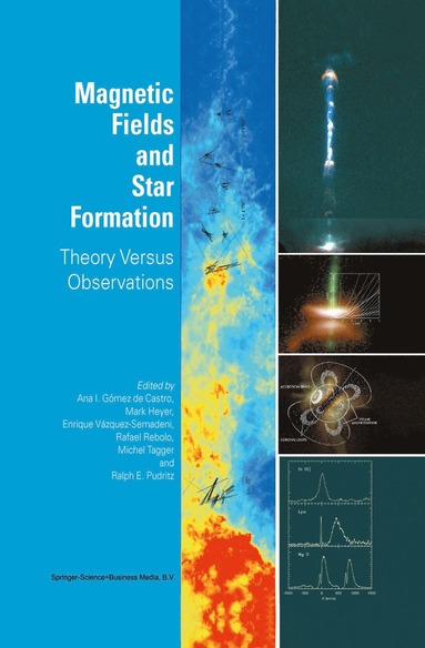 bokomslag Magnetic Fields and Star Formation