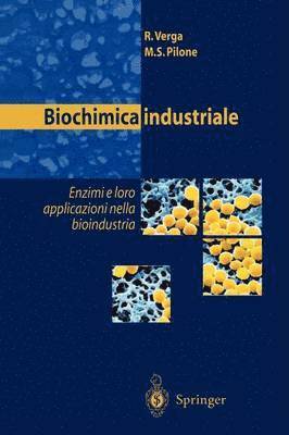 K.S. Cheng, Gustavo E. Romero, K. S. Cheng - Cosmic Gamma-Ray Sources, Häftad