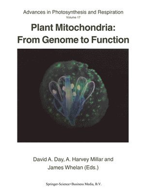 bokomslag Plant Mitochondria: From Genome to Function