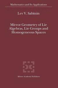 bokomslag Mirror Geometry of Lie Algebras, Lie Groups and Homogeneous Spaces