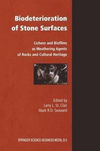 bokomslag Biodeterioration of Stone Surfaces