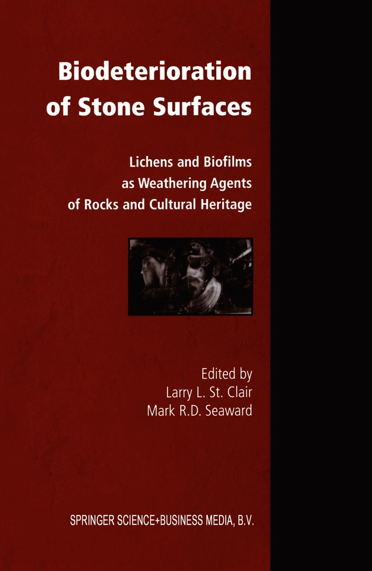 Biodeterioration of Stone Surfaces