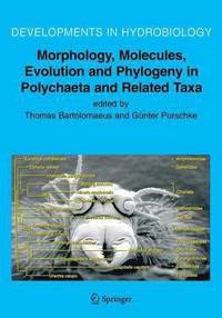 bokomslag Morphology, Molecules, Evolution and Phylogeny in Polychaeta and Related Taxa