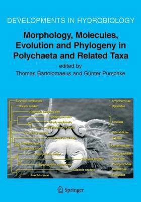 Morphology, Molecules, Evolution and Phylogeny in Polychaeta and Related Taxa 1