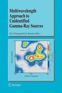 bokomslag Multiwavelength Approach to Unidentified Gamma-Ray Sources