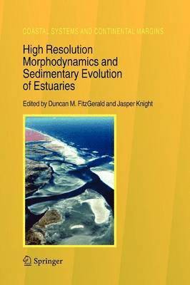 bokomslag High Resolution Morphodynamics and Sedimentary Evolution of Estuaries