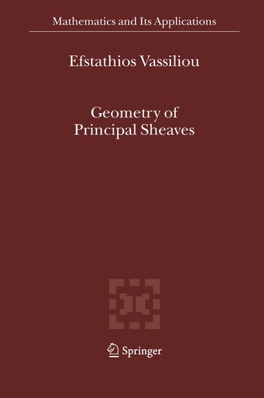bokomslag Geometry of Principal Sheaves