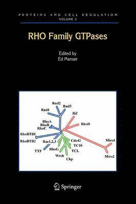 bokomslag Rho Family GTPases