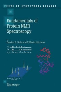 bokomslag Fundamentals of Protein NMR Spectroscopy
