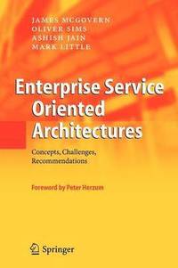 bokomslag Enterprise Service Oriented Architectures