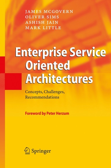 bokomslag Enterprise Service Oriented Architectures