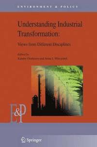 bokomslag Understanding Industrial Transformation