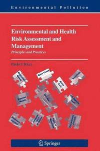 bokomslag Environmental and Health Risk Assessment and Management