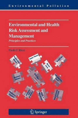 bokomslag Environmental and Health Risk Assessment and Management