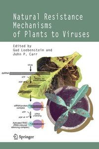 bokomslag Natural Resistance Mechanisms of Plants to Viruses