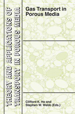 Gas Transport in Porous Media 1