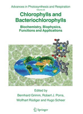 bokomslag Chlorophylls and Bacteriochlorophylls