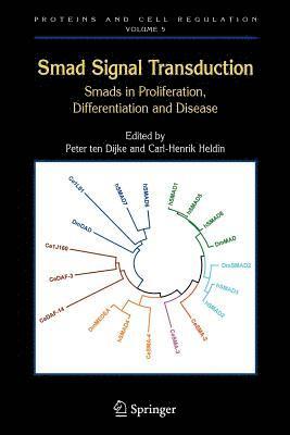 bokomslag Smad Signal Transduction