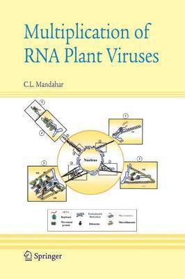 Multiplication of RNA Plant Viruses