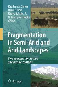 bokomslag Fragmentation in Semi-Arid and Arid Landscapes