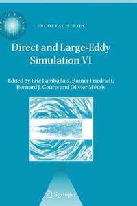 bokomslag Direct and Large-Eddy Simulation VI