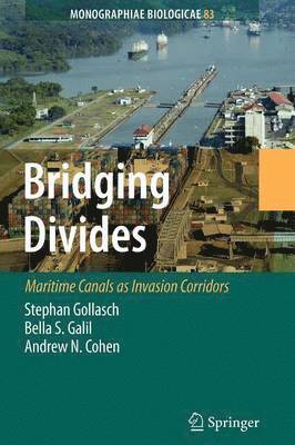 Bridging Divides 1