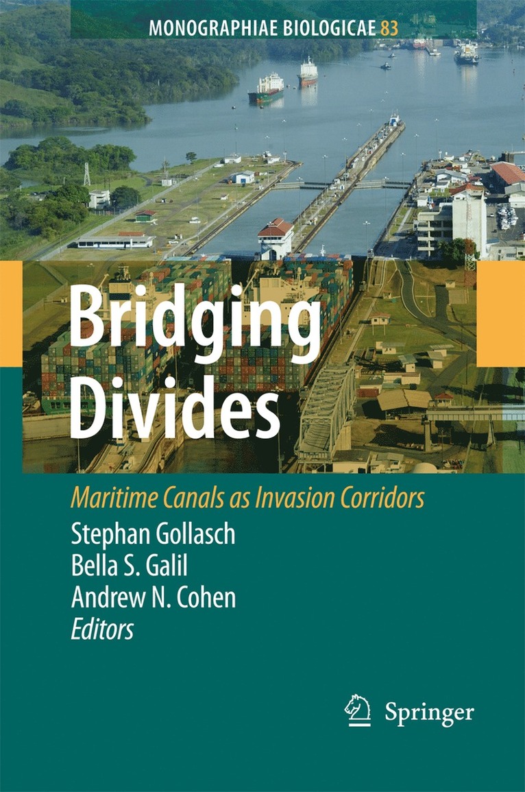 Bridging Divides 1